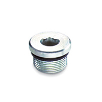 Plugs with Hexagon Socket for Application with High Pressures